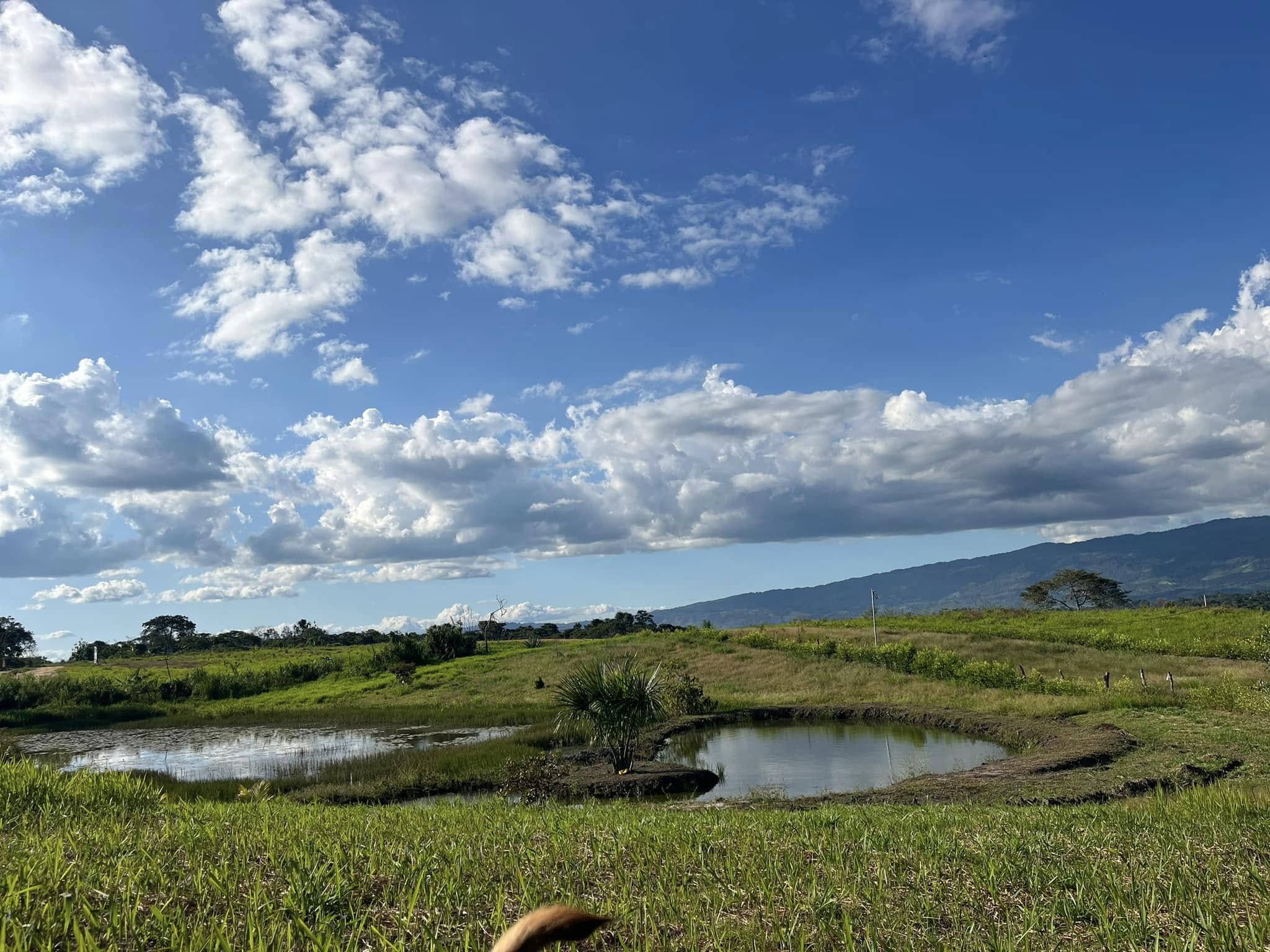 475739522_122154000278335302_8862126586361763862_n