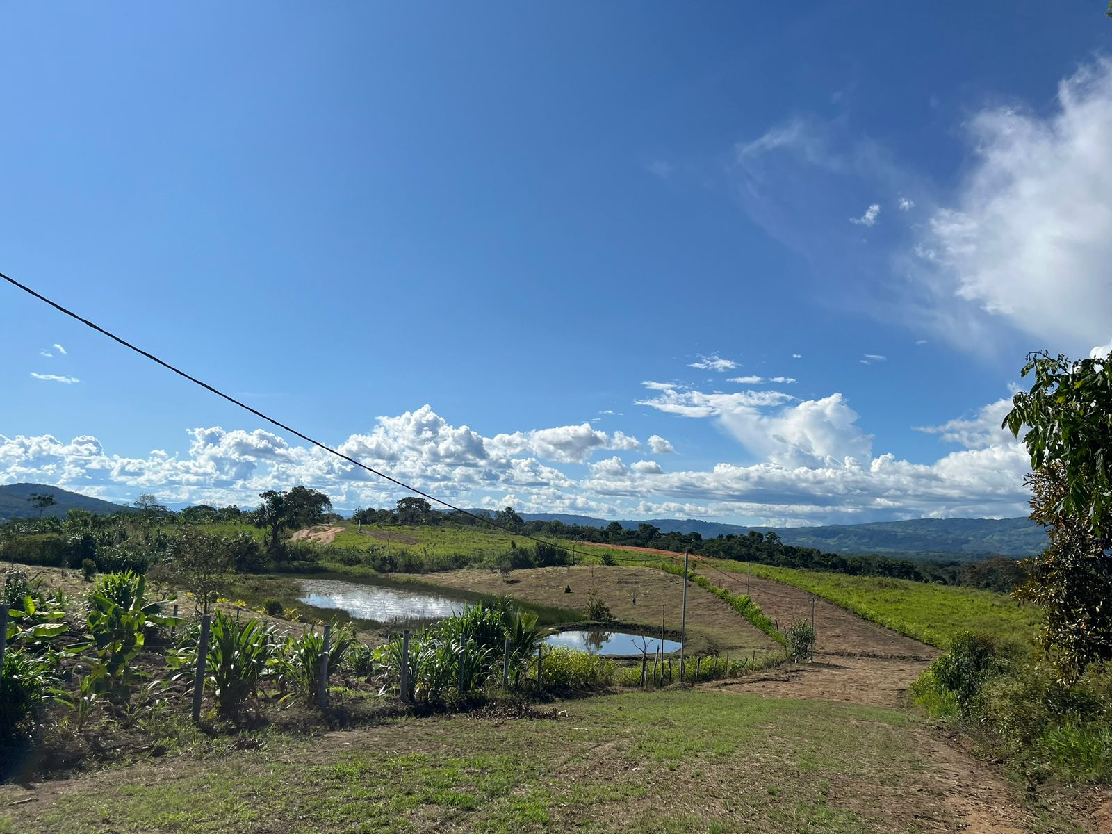 WhatsApp Image 2025-09-25 at 11.10.46 AM