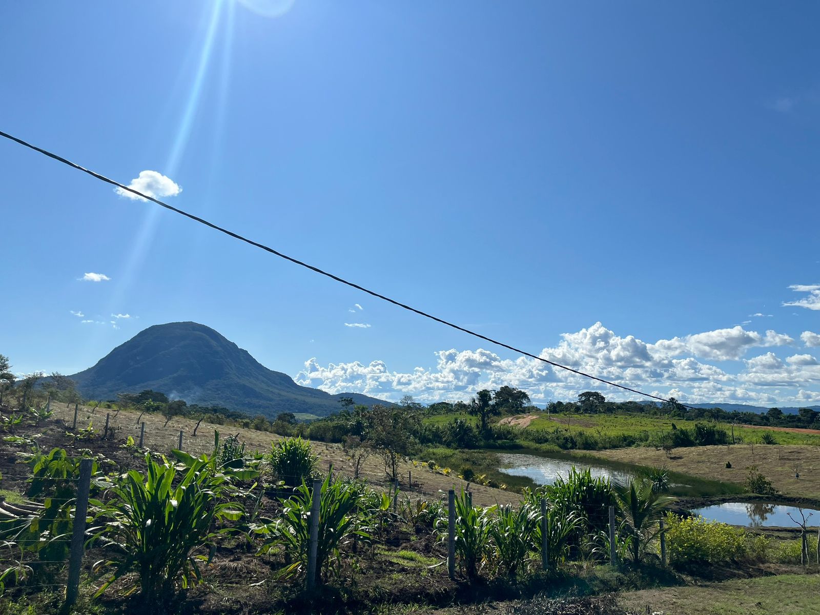 WhatsApp Image 2025-09-25 at 11.10.47 AM