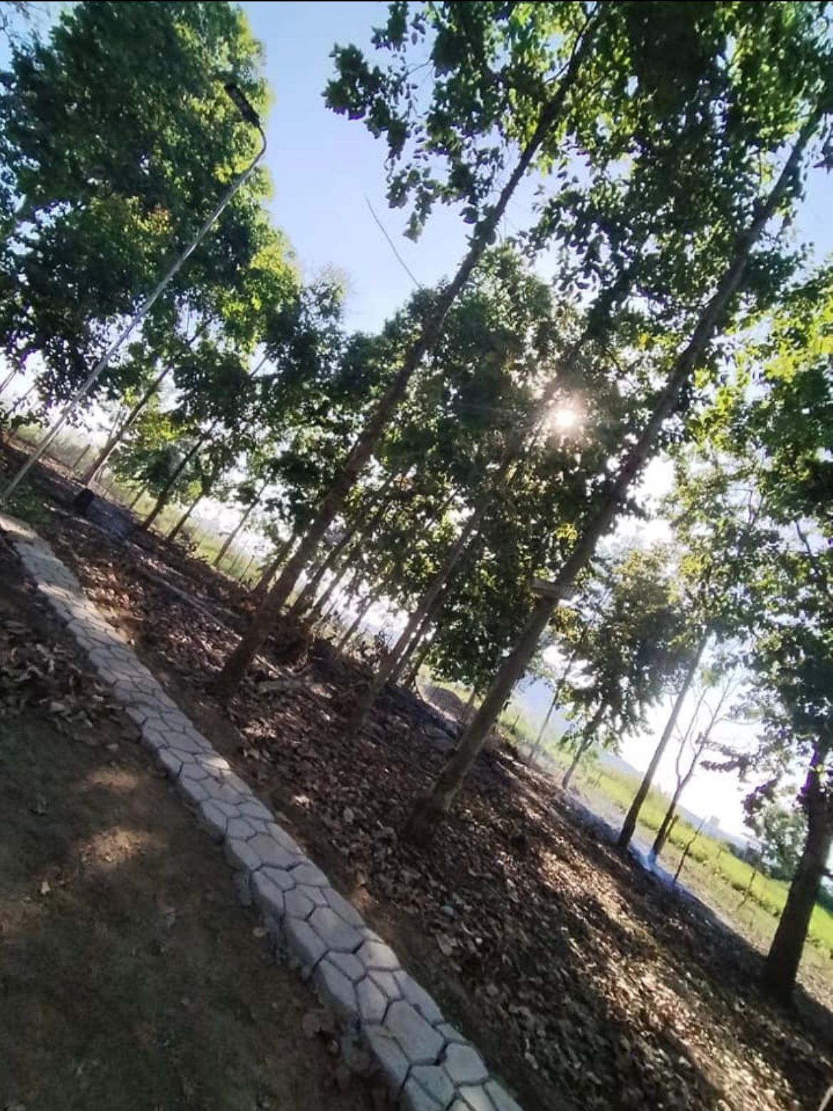 WhatsApp Image 2025-09-25 at 11.10.36 AM (1)