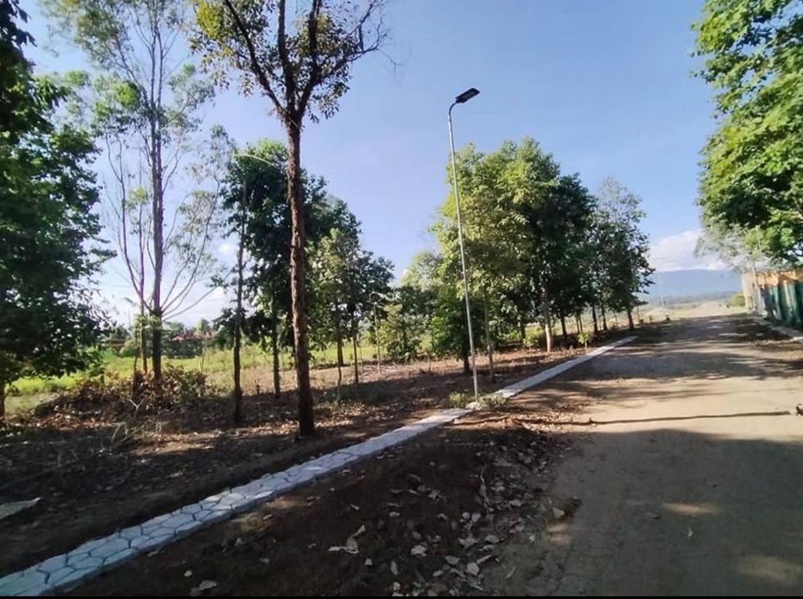 WhatsApp Image 2025-09-25 at 11.10.36 AM