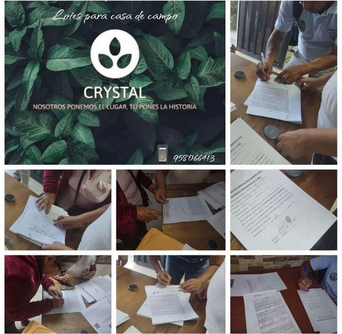 WhatsApp Image 2025-09-25 at 11.10.38 AM