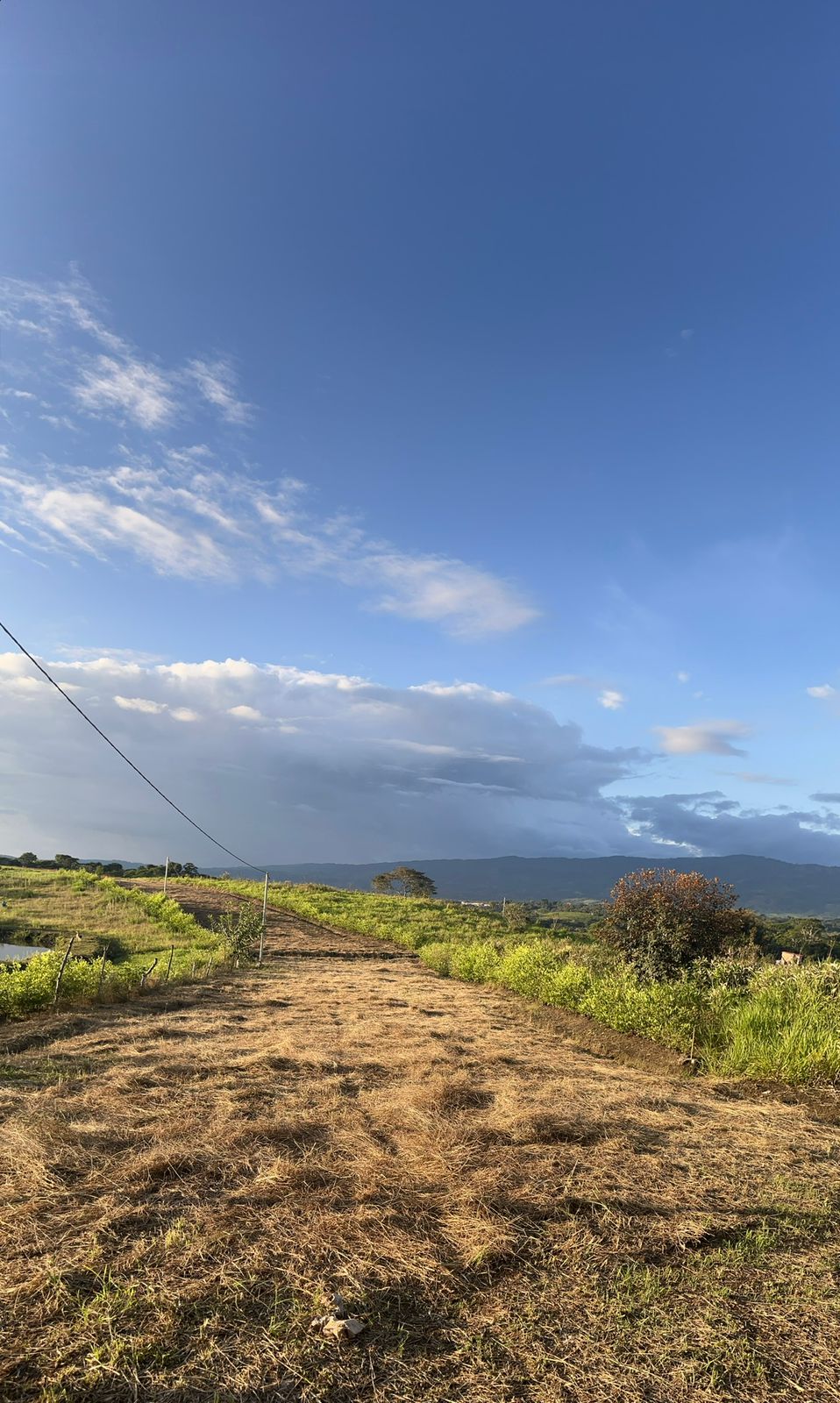 WhatsApp Image 2025-09-25 at 11.10.46 AM (1)