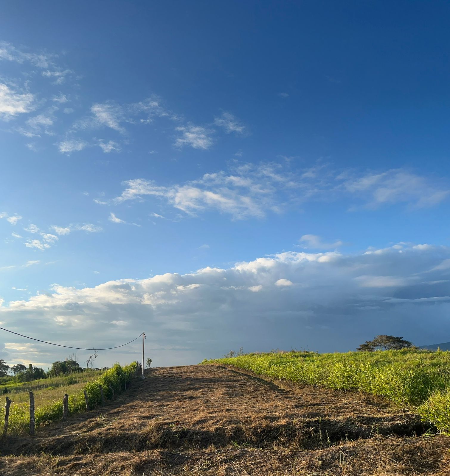 WhatsApp Image 2025-09-25 at 11.10.46 AM (2)